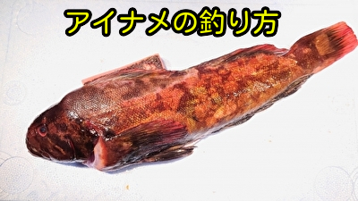アイナメの釣り方