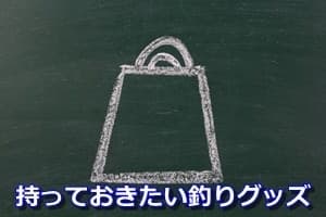 持っておきたい釣りグッズ