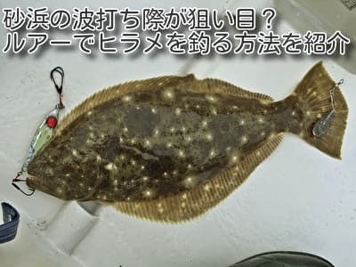 砂浜の波打ち際が狙い目?ルアーでヒラメを釣る方法を紹介