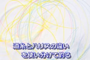 道糸とハリスの違いを使い分けて釣る