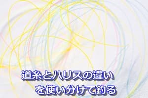 道糸とハリスの違いを使い分けて釣る