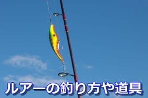 ルアーの釣り方や道具