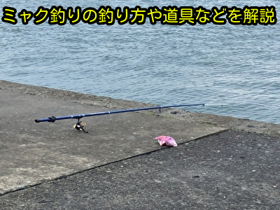 ミャク釣りの釣り方や道具などを解説