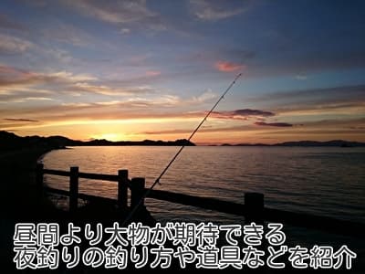 昼間より大物が期待できる夜釣りの釣り方や道具などを紹介