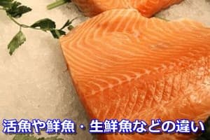 活魚や鮮魚・生鮮魚などの違い