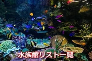 水族館 画像