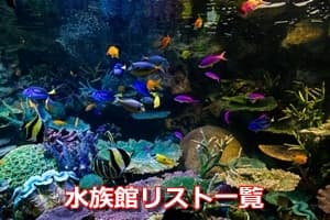 水族館　画像