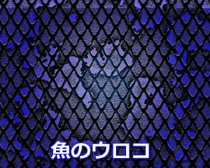 魚のウロコ